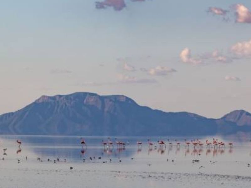Lake Natron